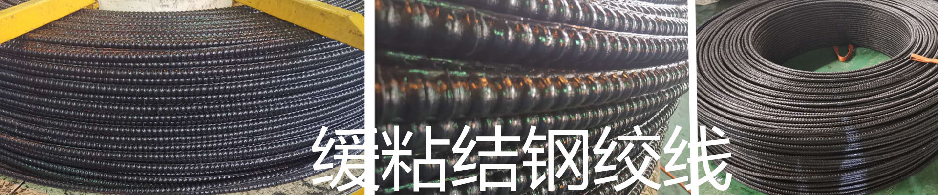 banner01